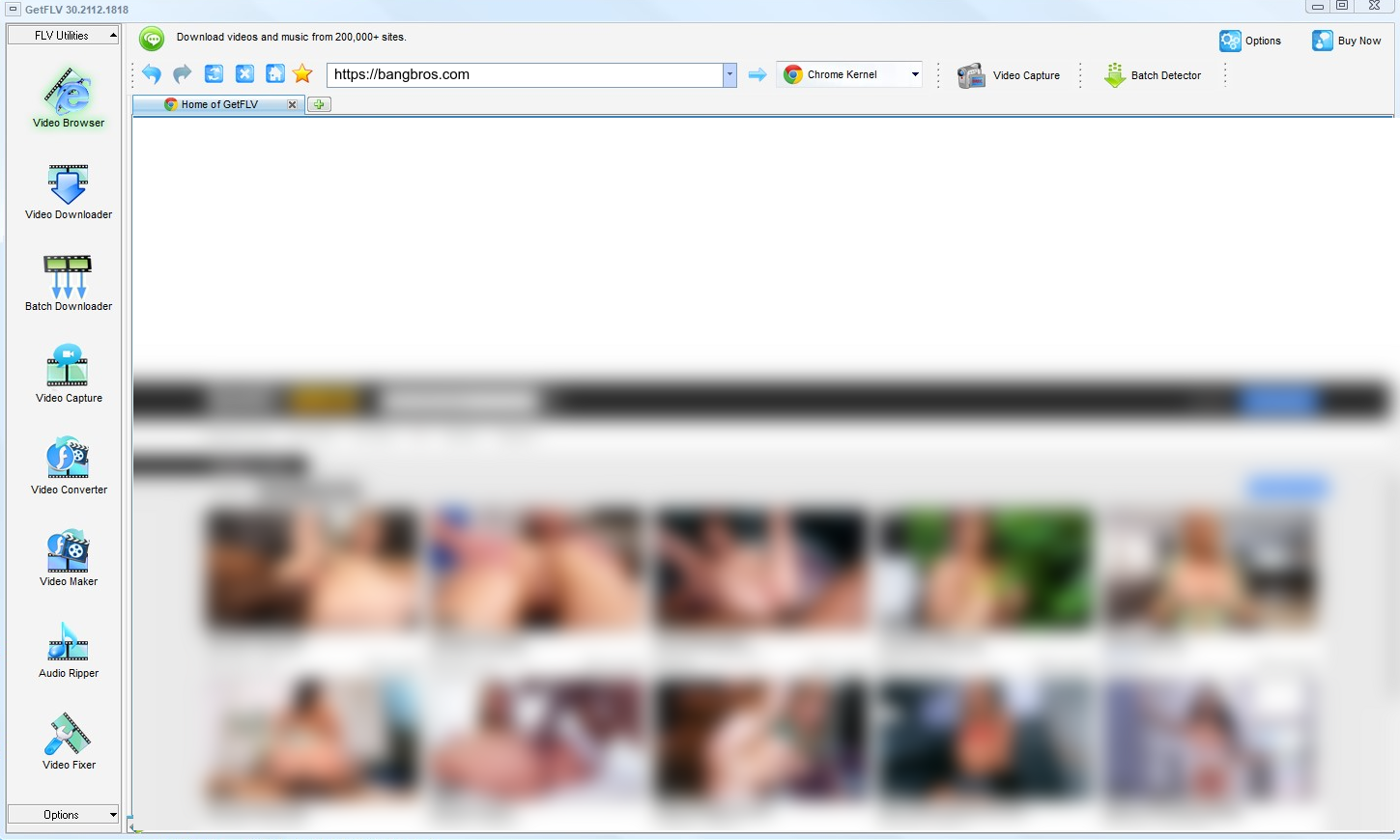 Capture the Bangbros stream with GetFLV — Bangbros