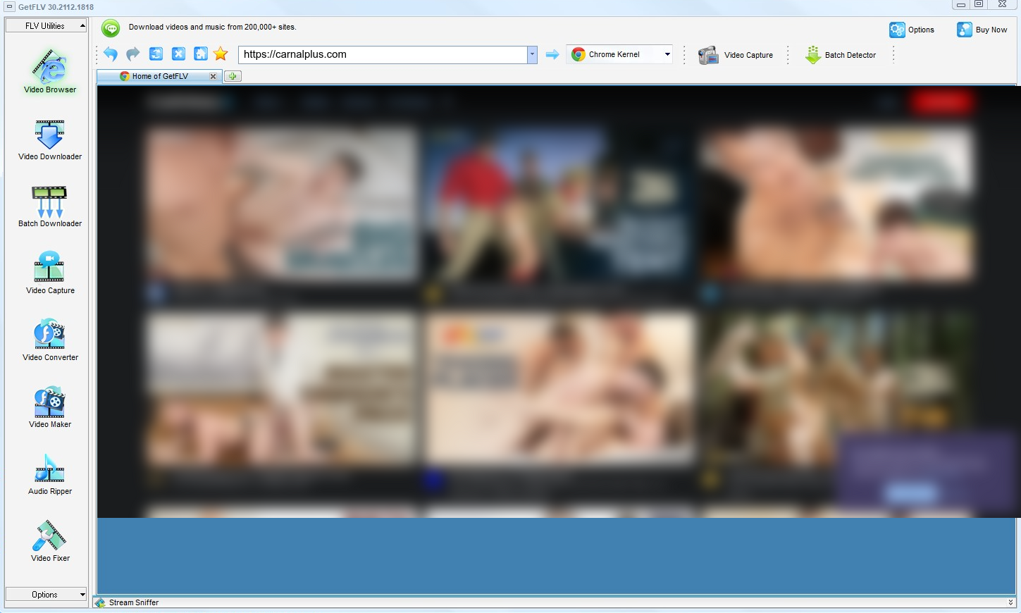 GetFLV Carnalplus Downloader for Windows and Mac — carnalplus