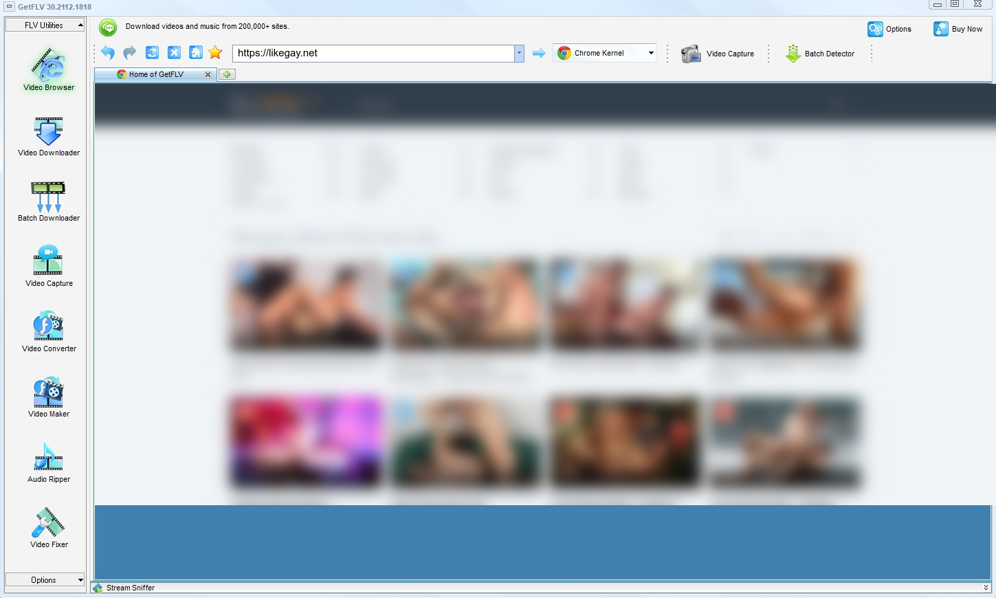 GetFLV Likegay Downloader — likegay
