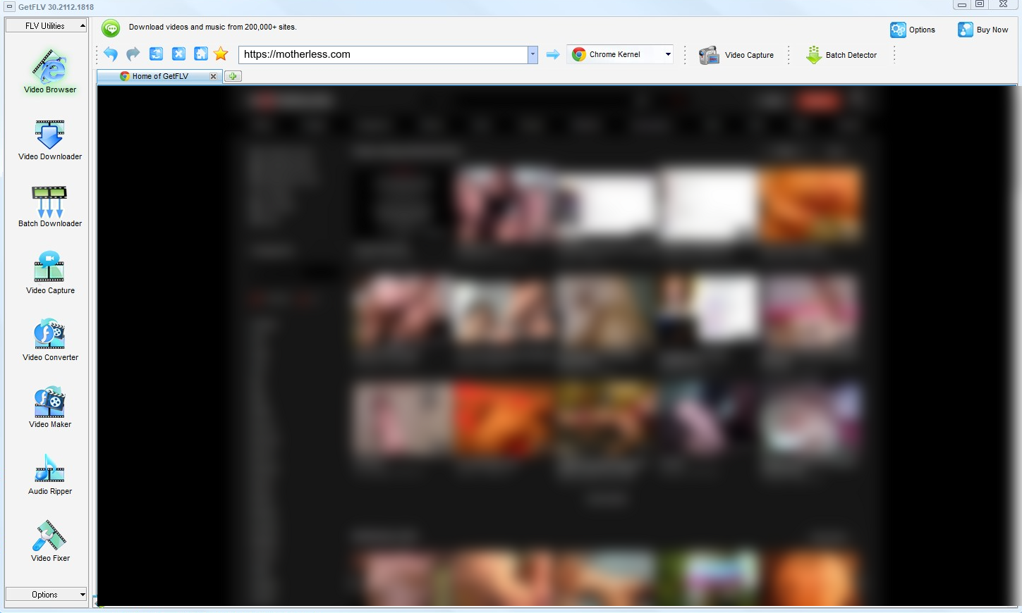 The Ultimate Guide to Downloading motherless Videos