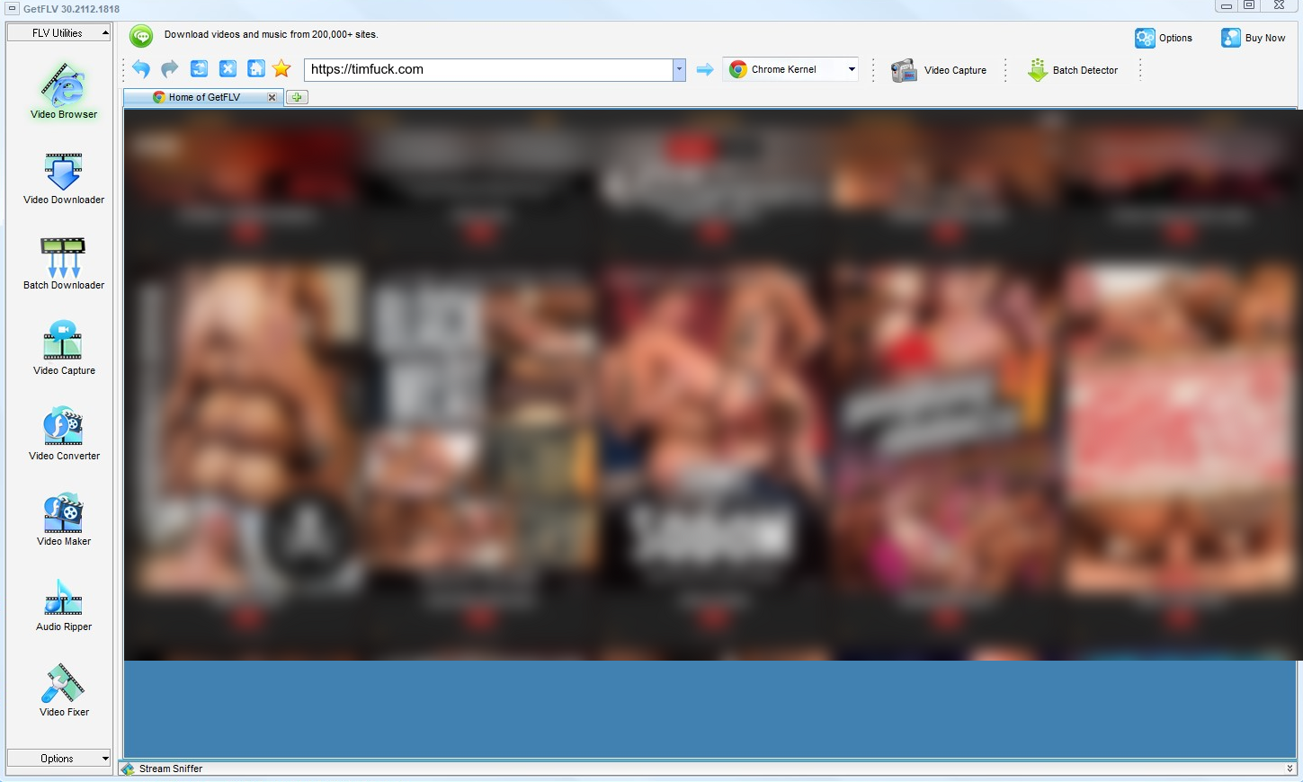 GetFLV TIMFUCK Downloader for Windows and Mac — TIMFUCK